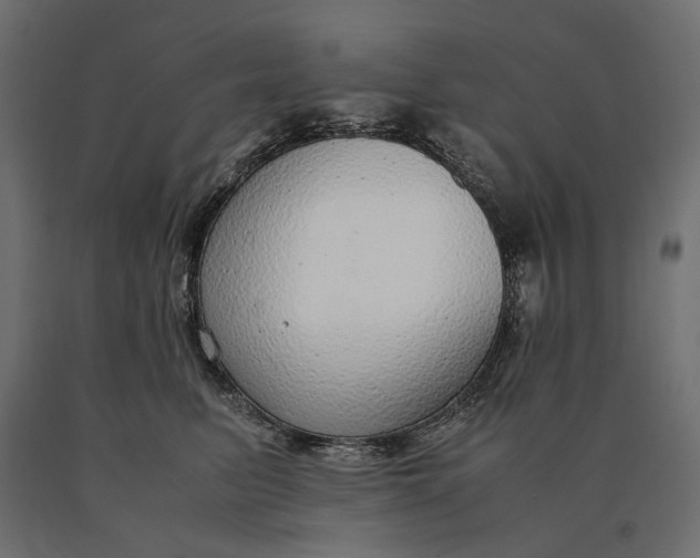 X0000090470615200708031306