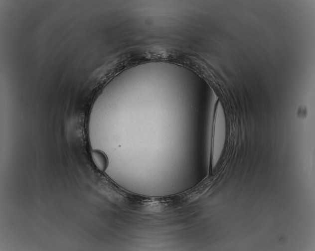 X0000090470616200708031306