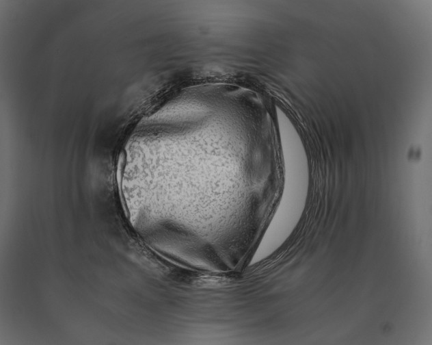 X0000090470617200708031306