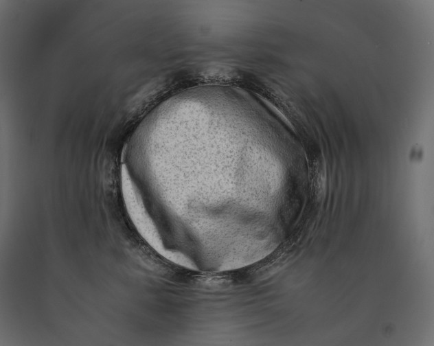 X0000090470619200708031306