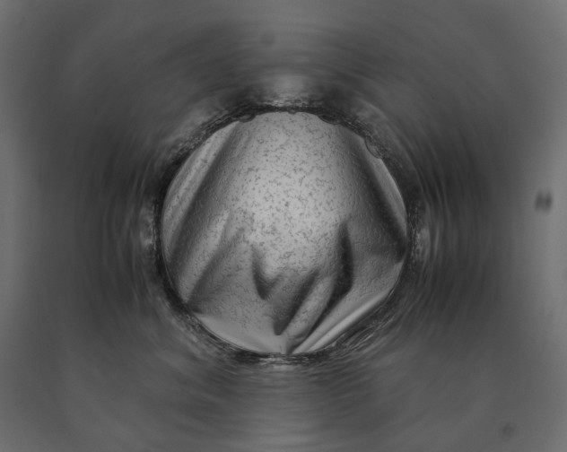 X0000090470620200708031306