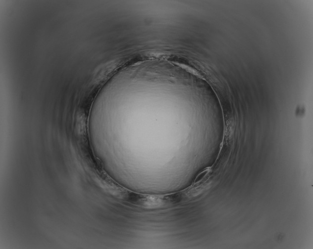 X0000090470623200708031306