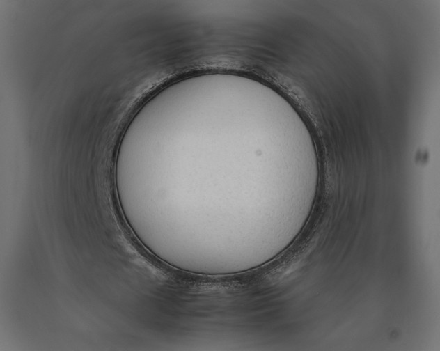 X0000090470625200708031305