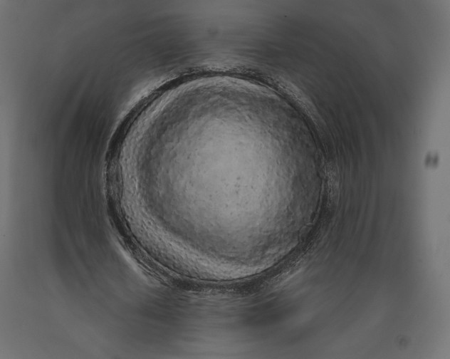 X0000090470626200708031305