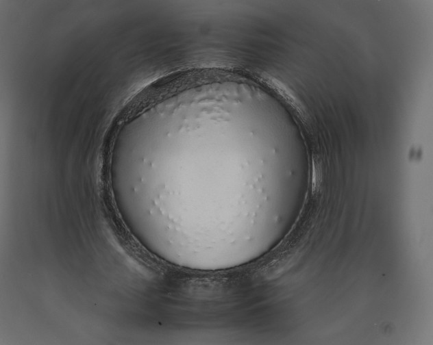 X0000090470627200708031305