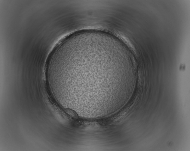 X0000090470628200708031305