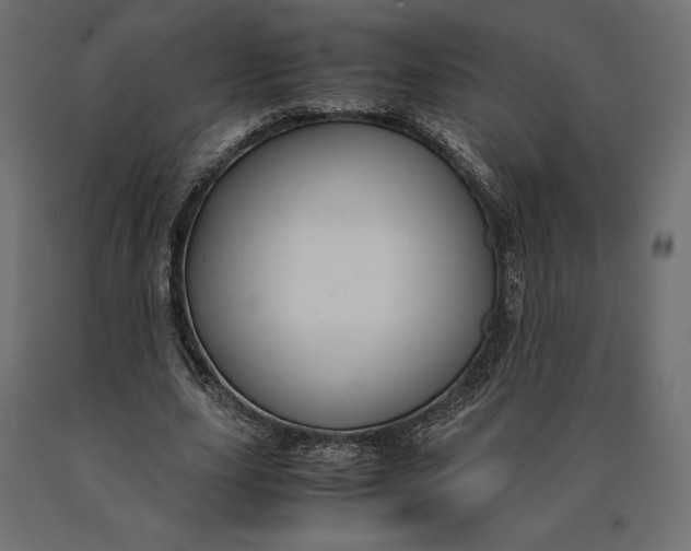 X0000090470631200708031305