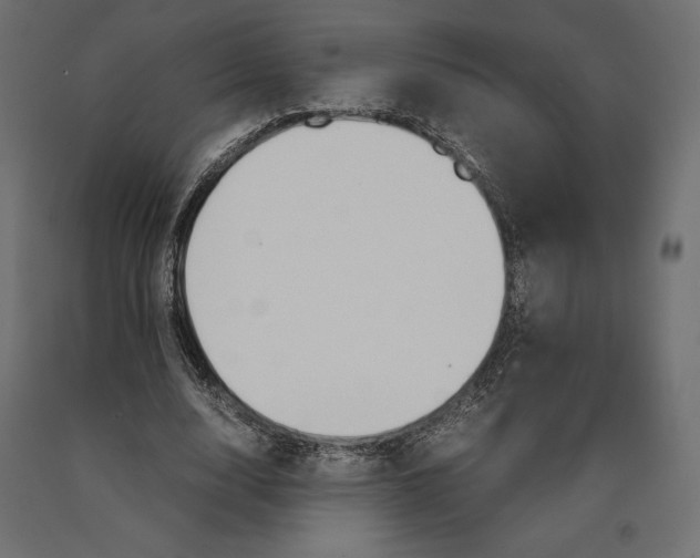 X0000090470632200708031305