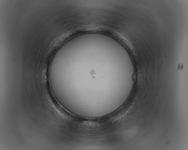 X0000090470633200708031305