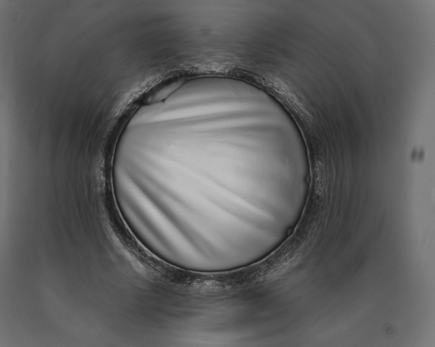 X0000090470634200708031306