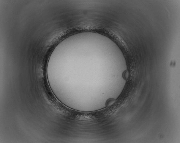 X0000090470635200708031306