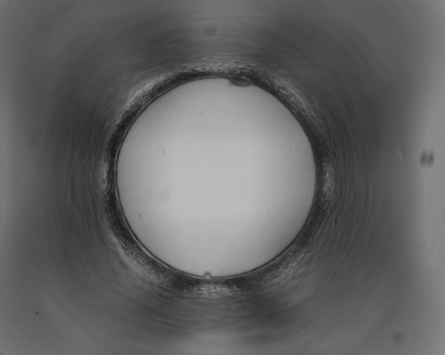 X0000090470636200708031306