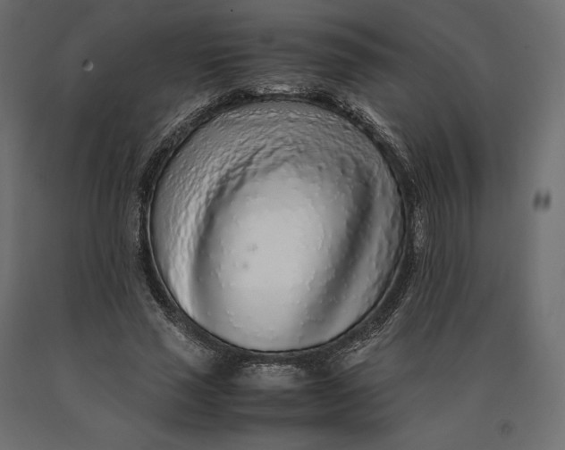 X0000090470637200708031306