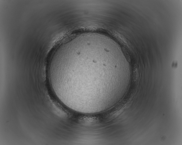 X0000090470638200708031306