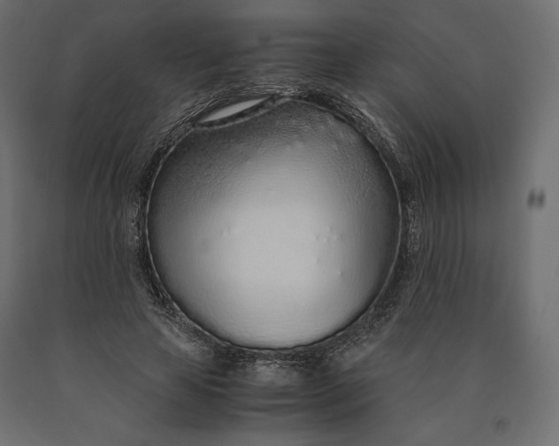 X0000090470641200708031306