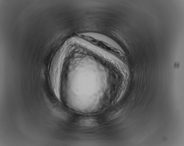 X0000090470643200708031306