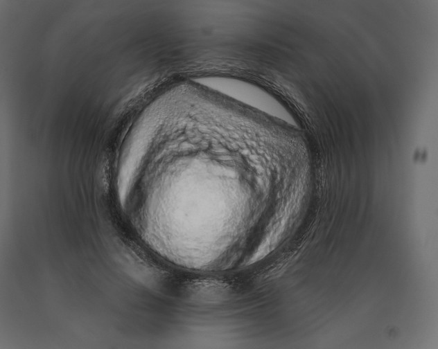 X0000090470644200708031306