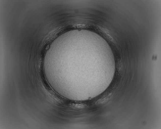 X0000090470645200708031306