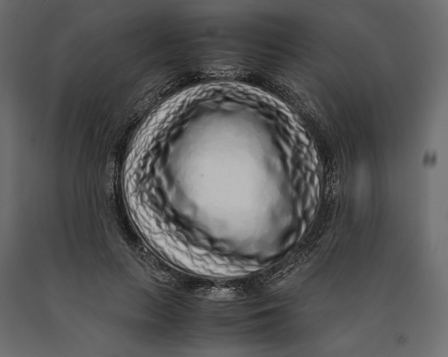 X0000090470647200708031306