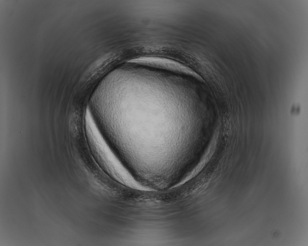 X0000090470648200708031306