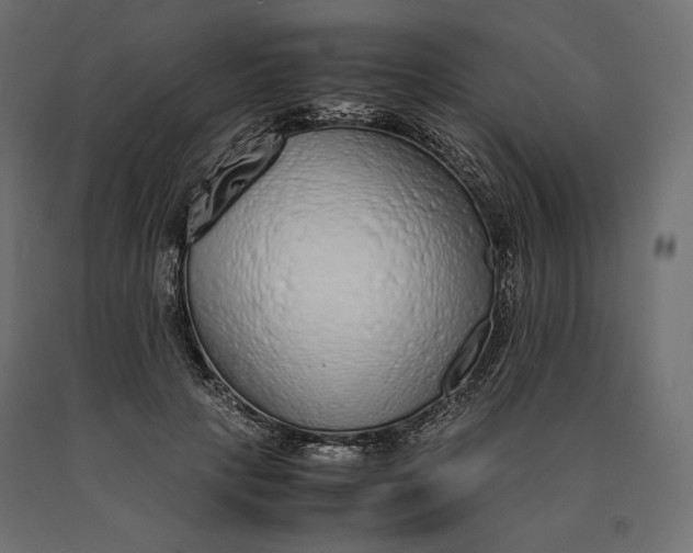 X0000090470649200708031306