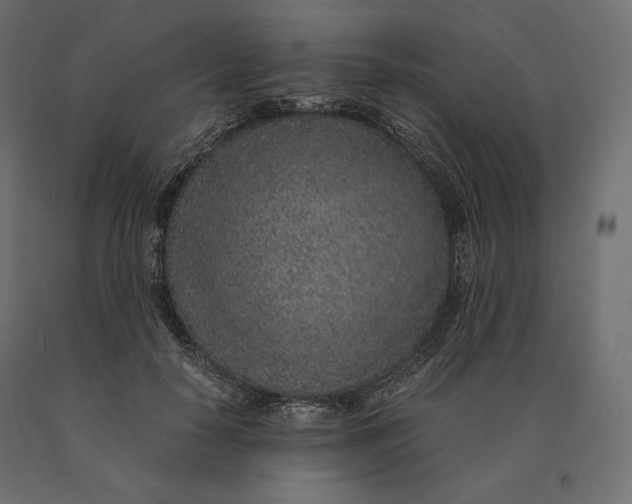 X0000090470650200708031306