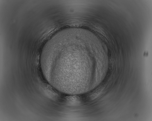 X0000090470652200708031306