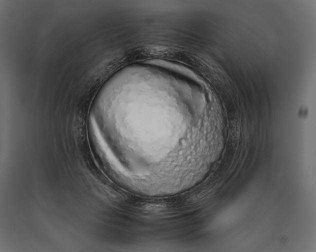 X0000090470653200708031306