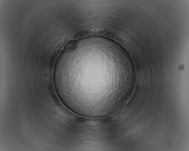 X0000090470654200708031306