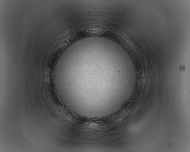 X0000090470655200708031306