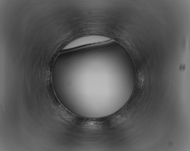 X0000090470657200708031306