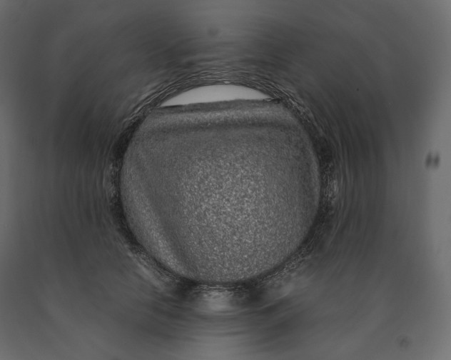 X0000090470658200708031306