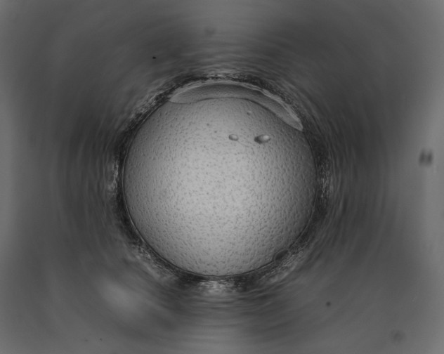 X0000090470660200708031306