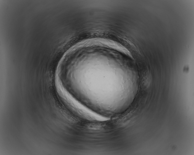 X0000090470661200708031306