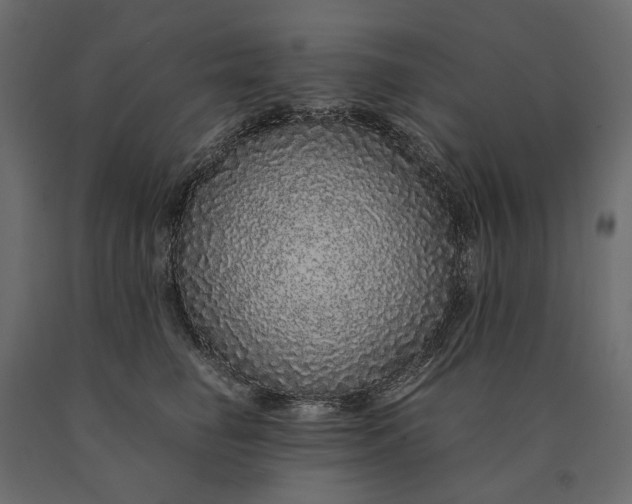 X0000090470662200708031306