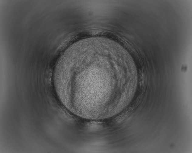 X0000090470664200708031306