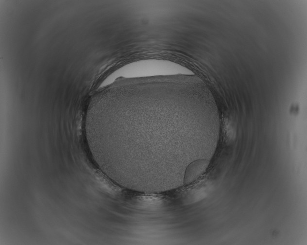 X0000090470668200708031306