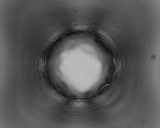 X0000090470669200708031306