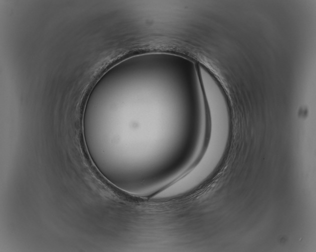 X0000090470673200708031305