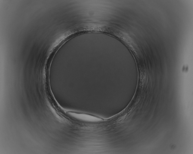 X0000090470674200708031305