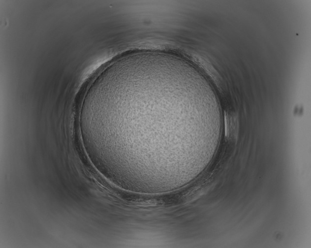 X0000090470675200708031305