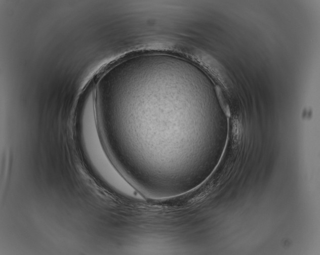 X0000090470676200708031305