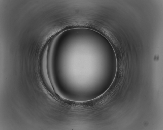 X0000090470677200708031305