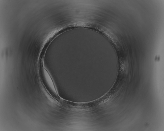 X0000090470678200708031305