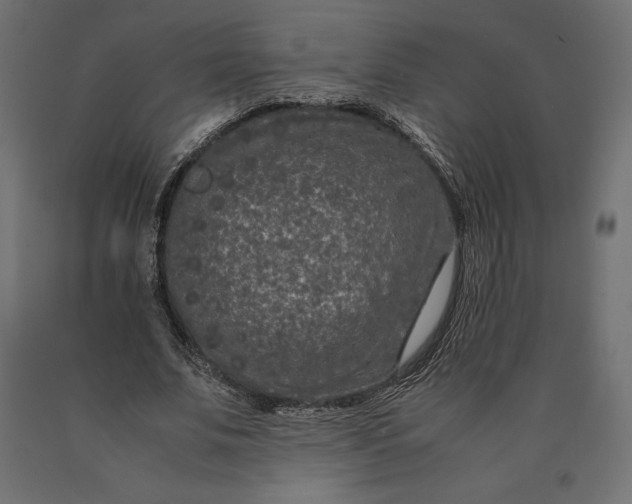 X0000090470679200708031305