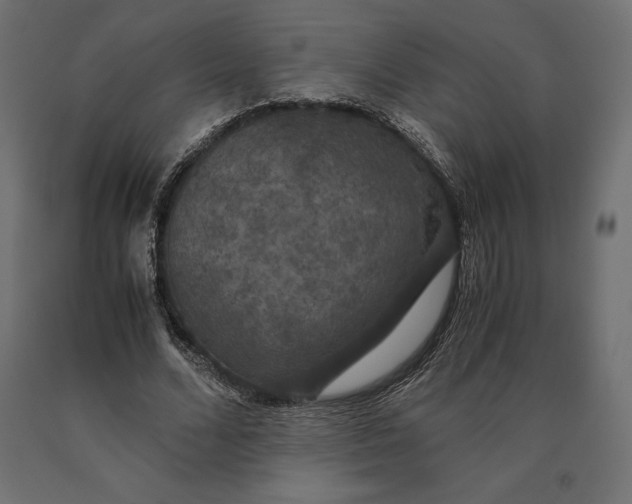 X0000090470680200708031305