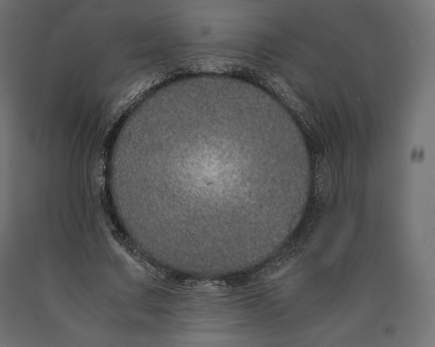 X0000090470683200708031305