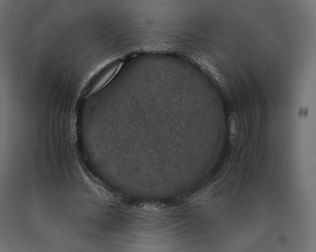 X0000090470684200708031305