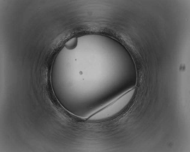 X0000090470685200708031305