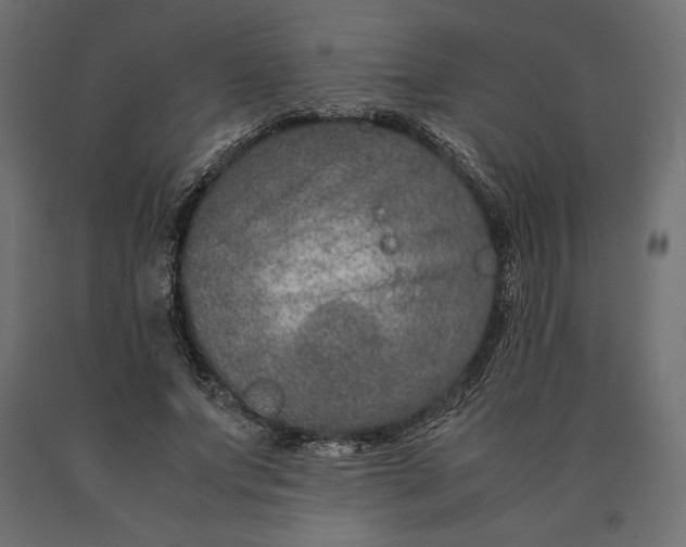 X0000090470687200708031305